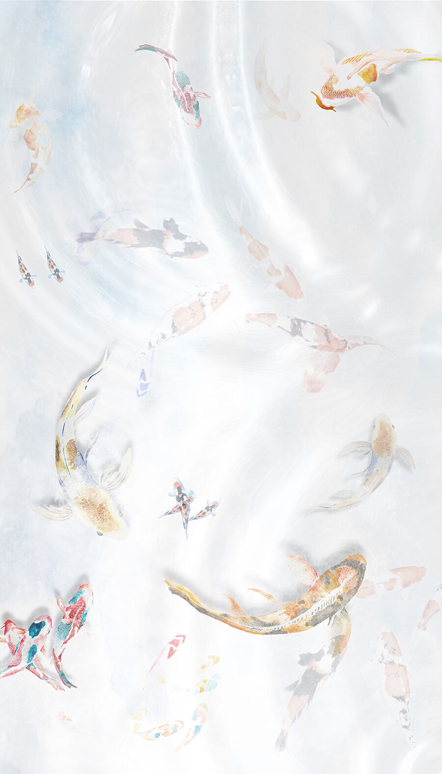 KOI-MIDDLE