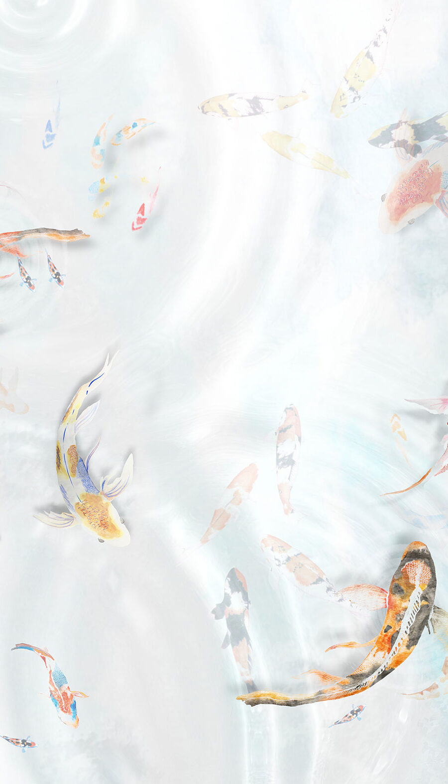 KOI-RIGHT